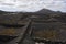 The unique vineyards on lanzarote