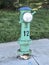 Uniquely San Francisco fire hydrant color 2