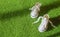 Unisex White sneakers on grass in the park. Top view and copy space. Health sport and fashion concept. no people no body