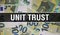 Unit Trust text Concept Closeup. American Dollars Cash Money,3D rendering. Unit Trust at Dollar Banknote. Financial USA money