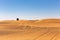 United Arab Emirates desert landscape with Wild Ghaf trees and tire tracks on sand dunes