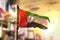 United Arab Emirates Flag Against City Blurred Background At Sun