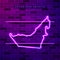 United Arab Emirates map glowing purple neon lamp sign
