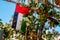 United Arab Emirates national flag decorations hanging among flowers, UAE National Day, Dubai