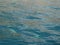 United Arab Emirates Oman dolphin watching boat trip Khasab Musandam dhow cruise
