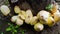 United family.  close-knit group of fungi, growing next to a log of wood