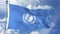 United Nations Children`s Fund UNICEF Waving Flag