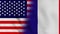 United States of America and France flag video