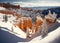 United States of Americas Bryce Canyon National Park during the winter