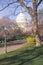 United States Capitol Building Through Cherry Blossoms, Washington, D.C.