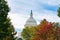 United States Capitol Building Hidden by Colorful Trees during Autumn in Washington D.C.