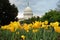 United States Capitol in Washington DC with Yellow