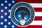 United States Cyber Command and the US Flag