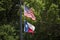 United states flag and texas flag in the summer wind