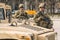 United States Marine Corps soldiers with weapons, helmets and armored vehicle humvee