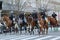 The United States Park Police Horse Mounted Unit participate at the St. Patrick\'s Day Parade