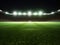 Universal grass stadium illuminated by spotlights and empty green grass playground. football. Generative Ai