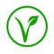 Universal vegetarian symbol- The V-label- V with a leaf