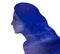 Universe hidden in human, mindfulness, imagination, art, creativity, inner power concepts. Silhouette of woman and starry sky or