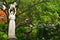 University of Santo Tomas Fountain of knowledge statue in Manila, Philippines