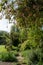 Unkempt, secluded, messy suburban garden with crazy paving path, cherry blossom tree, shrubs, flowers and greenery.