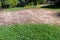 Unkempt Yard with Dried Grass and Weeds