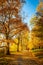 An unknown athletic woman running in an autumn park in Finland.