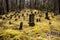 Unknown Cemetery In Early Spring Along Baskins Creek Trail