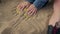 Unknown girl hands drawing lines on beach sand close up. Lady enjoy nature.