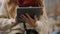 Unknown girl typing tablet computer outdoors. Woman hands holding digital tablet