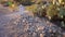 Unknown Grave marker in Tombstone\'s Historic Boot Hill Cemetery