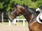 Unknown jumping rider on horseback overcomes barriers