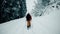 Unknown man skiing in beautiful Swiss Alpine forest scenery in the snow