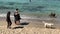 Unknown men and women on the dog beach , favorite vacation place for local people. Tel Aviv, Israel