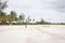 Unknown person walking alone on the beach, blurred. Tourist from the back on low tide beach, unfocused. Tropical vacations.