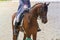 Unknown rider on a horse dressage competition