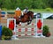 Unknown rider on a horse during INTERNATIONAL BROMONT