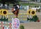 Unknown rider on a horse during INTERNATIONAL BROMONT