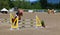 Unknown rider on a horse during INTERNATIONAL BROMONT