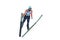Unknown ski jumper competes in the FIS Ski Jumping World Cup Ladies on March 1