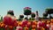 Unknown woman in dress walking throught bright summer garden in blooming flowers