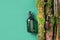 Unlabelled cosmetic bottle on green background, natural moss over branches, bark. Skin care, organic body treatment, spa