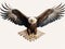 Unleashed Freedom: Stunning Capture of American Bald Eagle in Mid-Flight!