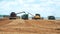 Unloading the collected grain from combines to tractors with trailers.