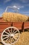 Unloading the wagon of wheat.