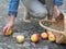 Unlucky woman with spilled apples