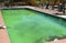 Unmaintained swimming pool with green algae