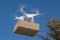 Unmanned Aircraft System UAV Quadcopter Drone Delivering Package