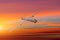 Unmanned military aircraft on white background sunset sky.