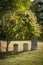 Unmarked gravestones in a sunny cemetery.